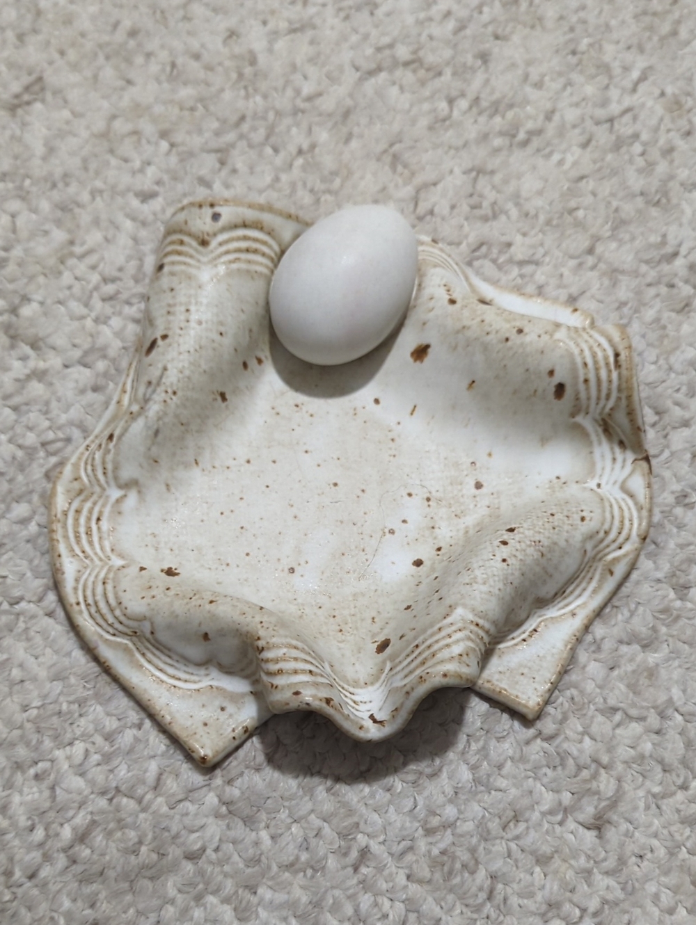 Speckled Ceramic Decorative Bowl in Off-White